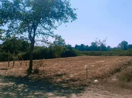  Land for sale in Mueang Lamphun, Lamphun, Makhuea Chae, Mueang Lamphun