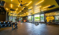 Фото 2 of the Communal Gym at STAY Wellbeing & Lifestyle