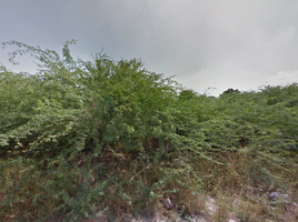  Land for sale in Cha-Am, Phetchaburi, Cha-Am, Cha-Am