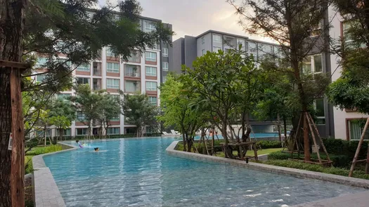 Фото 1 of the Communal Pool at D Condo Ping