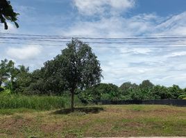  Land for sale in Kanchanaburi, Phang Tru, Tha Muang, Kanchanaburi