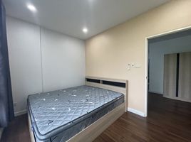 3 Schlafzimmer Reihenhaus zu vermieten in Chiang Mai, Tha Sala, Mueang Chiang Mai, Chiang Mai