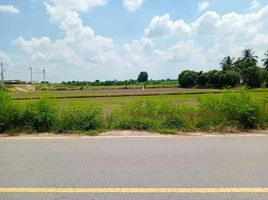 Land for sale in Chai Nat, Suk Duean Ha, Noen Kham, Chai Nat