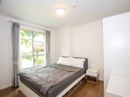 1 Schlafzimmer Wohnung zu verkaufen im D Condo Nim, Fa Ham, Mueang Chiang Mai, Chiang Mai