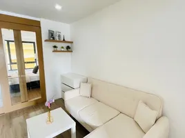 คอนโด 1 ห้องนอน ให้เช่า ในโครงการ เดอะ ฟิวเจอร์ คอนโด, วิชิต, เมืองภูเก็ต