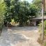  Land for sale in Amphoe Saraphi Office, Yang Noeng, 