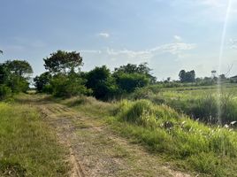  Land for sale in Surin, Salak Dai, Mueang Surin, Surin