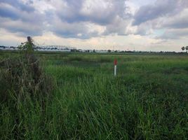  Land for sale in Nonthaburi, Lahan, Bang Bua Thong, Nonthaburi