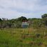  Land for sale in Trancoso, Porto Seguro, Trancoso