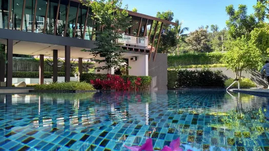 图片 1 of the Communal Pool at Dcondo Campus Resort Chiang-Mai