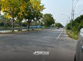  Land for sale in Thailand, Bueng Ba, Nong Suea, Pathum Thani, Thailand