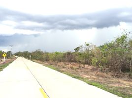 ขายที่ดิน ใน พิบูลมังสาหาร อุบลราชธานี, โพธิ์ไทร, พิบูลมังสาหาร, อุบลราชธานี