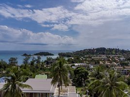  Grundstück zu verkaufen in Koh Samui, Surat Thani, Bo Phut