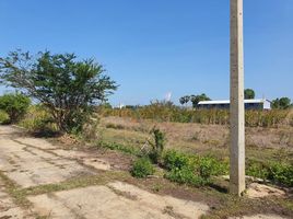  Grundstück zu verkaufen in Kamphaeng Saen, Nakhon Pathom, Don Khoi, Kamphaeng Saen, Nakhon Pathom
