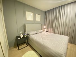 1 Bedroom Apartment for rent at Dlux Condominium , Chalong
