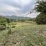  Land for sale in Sop Poeng, Chiang Mai, Sop Poeng