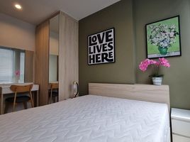 1 Bedroom Condo for rent at Nue Noble Ngamwongwan, Bang Khen, Mueang Nonthaburi, Nonthaburi