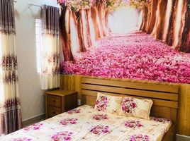 5 Schlafzimmer Villa zu verkaufen in District 11, Ho Chi Minh City, Ward 16