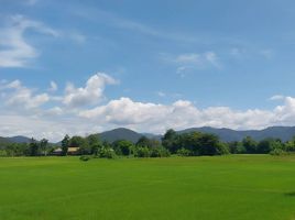  Land for sale in Nong Yaeng, San Sai, Nong Yaeng