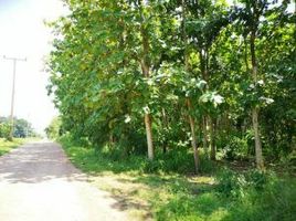  Land for sale in Tak Fa, Nakhon Sawan, Nong Phikun, Tak Fa