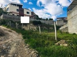  Land for sale in Gualaceo, Azuay, Gualaceo, Gualaceo