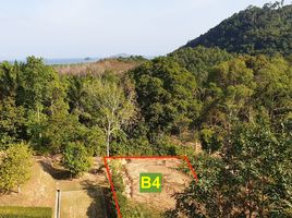  Land for sale at Lanta Sunrise Hill , Sala Dan, Ko Lanta