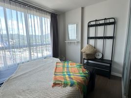 1 Bedroom Condo for rent at D Condo Creek, Kathu