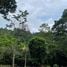  Land for sale in Koh Samui Surat Thani, Lipa Noi, Koh Samui, Surat Thani