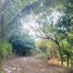  Land for sale in Rawai, Phuket Town, Rawai