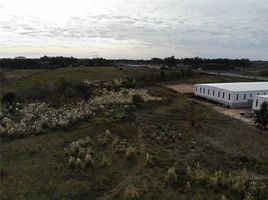  Grundstück zu verkaufen in Tigre, Buenos Aires, Tigre