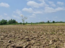  Land for sale in Mueang Chiang Rai Chiang Rai, Huai Sak