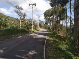  Grundstück zu verkaufen in Thalang, Phuket, Choeng Thale