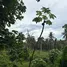  Land for sale in Koh Samui Surat Thani, Bo Phut