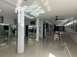 6 Schlafzimmer Villa zu verkaufen in Koh Samui, Surat Thani, Maret