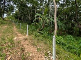  Grundstück zu verkaufen in Koh Samui, Surat Thani, Taling Ngam