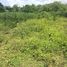  Land for sale in Guanacaste, Liberia, Guanacaste