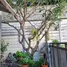 3 Bedroom Townhouse for sale at Baan Klang Muang Urbanion Kaset-Navamin 2, Anusawari, Bang Khen, Bangkok