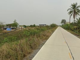 在佛统出售的 土地, Khlong Yong, Phutthamonthon, 佛统