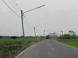 在北柳出售的 土地, Sothon, Mueang Chachoengsao, 北柳