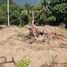  Land for sale in Koh Samui, Maenam, Koh Samui