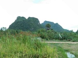  Grundstück zu verkaufen in Cha-Am, Phetchaburi, Na Yang