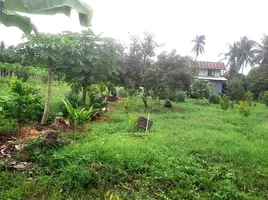  Land for sale in Phetchabun, Bung Namtao, Lom Sak, Phetchabun