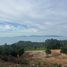  Land for sale in Koh Samui Surat Thani, Maenam, Koh Samui