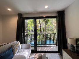 2 Bedroom Condo for rent at THE BASE Central Phuket, Wichit, Phuket Town