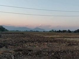  Land for sale in Si Mueang Chum, Mae Sai, Si Mueang Chum
