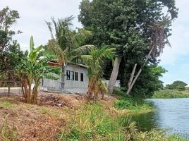 1 Schlafzimmer Shophaus zu vermieten in Kanchanaburi, Tha Lo, Tha Muang, Kanchanaburi