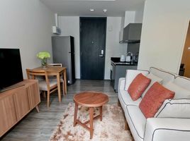 Studio Condo for sale at The Deck Patong, Patong, Kathu