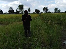  Grundstück zu verkaufen in Mueang Khon Kaen, Khon Kaen, Sawathi