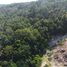 Land for sale in Ban Tai, Surat Thani, Ban Tai
