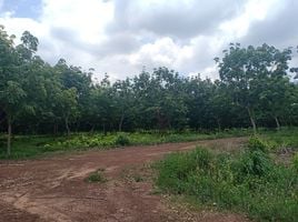  Land for sale in Nong Phrong, Si Maha Phot, Nong Phrong